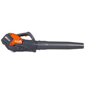 Oleo Mac BVi 60 Şarjlı Üfleme Makinası