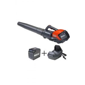 Oleomac 2.5 Ah+Şarj Cihazı Bvi 60 Akülü Yaprak Üfleme Makinesi