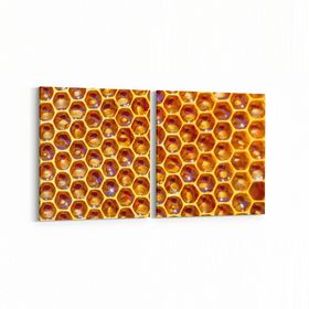 Olla 10014K2Y Abstract 3 Boyut Görsel Kare 2 Parça Yatay 65x30 cm Kanvas Tablo