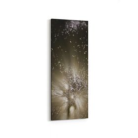Olla 10366DI Abstract Görsel Dikey İnce 30x90 cm Kanvas Tablo