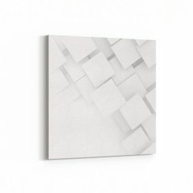 Olla 10446K Beyaz Kabartma Görseli Kare 25x25 cm Kanvas Tablo