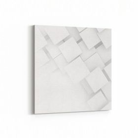 Olla 10446K Beyaz Kabartma Görseli Kare 25x25 cm Kanvas Tablo