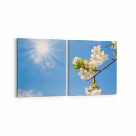 Olla 10465K2Y Ağaç Görseli Kare 2 Parça Yatay 65x30 cm Kanvas Tablo