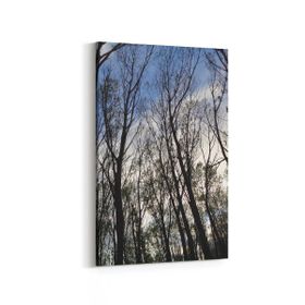 Olla 10466D Ağaç Görseli Dikey 20x30 cm Kanvas Tablo