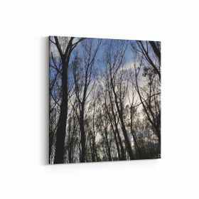 Olla 10466K Ağaç Görseli Kare 25x25 cm Kanvas Tablo