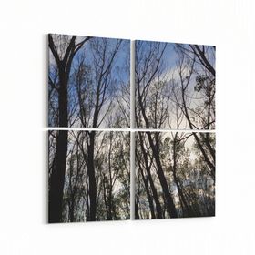 Olla 10466K4 Ağaç Görseli Kare 4 Parça 65x65 cm Kanvas Tablo