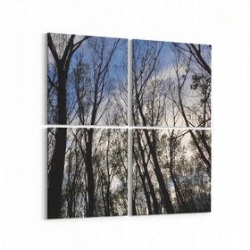 Olla 10466K4 Ağaç Görseli Kare 4 Parça 65x65 cm Kanvas Tablo