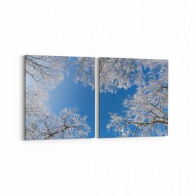 Olla 10473K2Y Ağaç Görseli Kare 2 Parça Yatay 65x30 cm Kanvas Tablo
