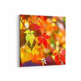 Olla 10479K Ağaç Görseli Kare 25x25 cm Kanvas Tablo