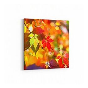 Olla 10479K Ağaç Görseli Kare 25x25 cm Kanvas Tablo