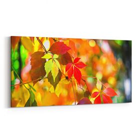 Olla 10479YD Ağaç Görseli Yatay Dar 60x30 cm Kanvas Tablo