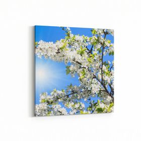 Olla 10486K Ağaç Görseli Kare 25x25 cm Kanvas Tablo