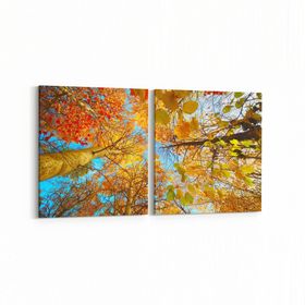 Olla 10489K2Y Ağaç Görseli Kare 2 Parça Yatay 65x30 cm Kanvas Tablo