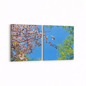 Olla 10492K2Y Ağaç Görseli Kare 2 Parça Yatay 65x30 cm Kanvas Tablo