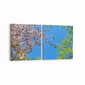 Olla 10492K2Y Ağaç Görseli Kare 2 Parça Yatay 65x30 cm Kanvas Tablo