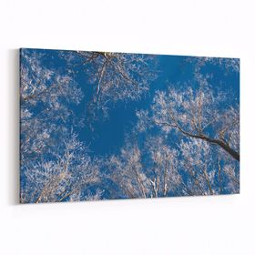 Olla 10499Y Ağaç Görseli Yatay 30x20 cm Kanvas Tablo