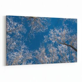 Olla 10499Y Ağaç Görseli Yatay 30x20 cm Kanvas Tablo