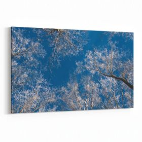 Olla 10499Y Ağaç Görseli Yatay 30x20 cm Kanvas Tablo