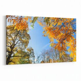 Olla 10500Y Ağaç Görseli Yatay 30x20 cm Kanvas Tablo