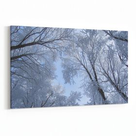 Olla 10505Y Ağaç Görseli Yatay 30x20 cm Kanvas Tablo
