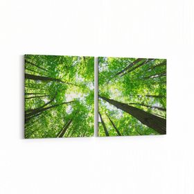 Olla 10506K2Y Ağaç Görseli Kare 2 Parça Yatay 65x30 cm Kanvas Tablo