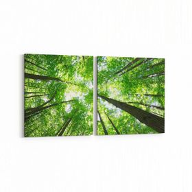 Olla 10506K2Y Ağaç Görseli Kare 2 Parça Yatay 65x30 cm Kanvas Tablo