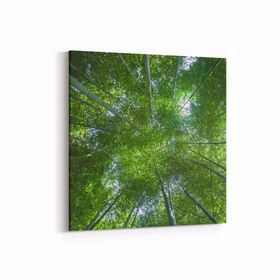 Olla 10518K Ağaç Görseli Kare 25x25 cm Kanvas Tablo