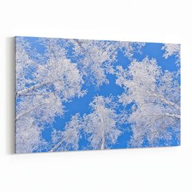 Olla 10519Y Ağaç Görseli Yatay 30x20 cm Kanvas Tablo