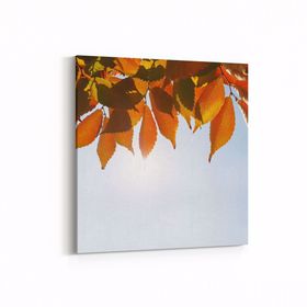 Olla 10523K Ağaç Görseli Kare 25x25 cm Kanvas Tablo