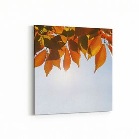 Olla 10523K Ağaç Görseli Kare 25x25 cm Kanvas Tablo