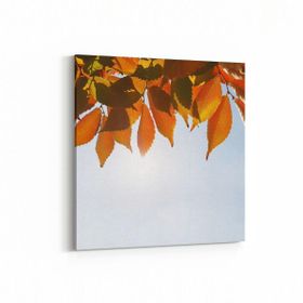 Olla 10523K Ağaç Görseli Kare 25x25 cm Kanvas Tablo
