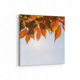 Olla 10523K Ağaç Görseli Kare 25x25 cm Kanvas Tablo