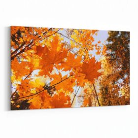 Olla 10524Y Ağaç Görseli Yatay 30x20 cm Kanvas Tablo