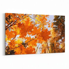 Olla 10524Y Ağaç Görseli Yatay 30x20 cm Kanvas Tablo