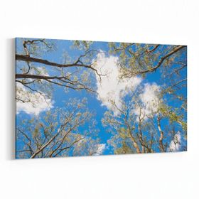 Olla 10526Y Ağaç Görseli Yatay 30x20 cm Kanvas Tablo
