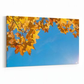Olla 10527Y Ağaç Görseli Yatay 30x20 cm Kanvas Tablo