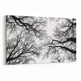 Olla 10555Y Ağaç Görseli Yatay 30x20 cm Kanvas Tablo