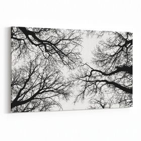 Olla 10555Y Ağaç Görseli Yatay 30x20 cm Kanvas Tablo