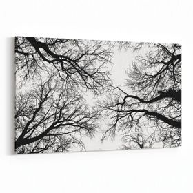 Olla 10555Y Ağaç Görseli Yatay 30x20 cm Kanvas Tablo