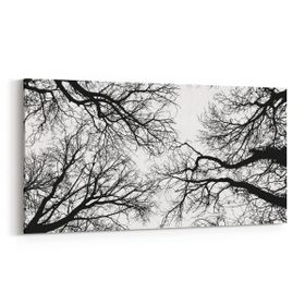 Olla 10555YD Ağaç Görseli Yatay Dar 60x30 cm Kanvas Tablo