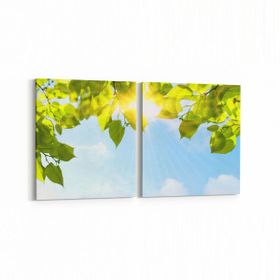 Olla 10558K2Y Ağaç Görseli Kare 2 Parça Yatay 65x30 cm Kanvas Tablo
