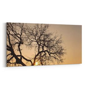 Olla 10559YD Ağaç Görseli Yatay Dar 60x30 cm Kanvas Tablo