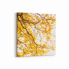 Olla 10565K Ağaç Görseli Kare 25x25 cm Kanvas Tablo