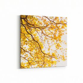 Olla 10565K Ağaç Görseli Kare 25x25 cm Kanvas Tablo