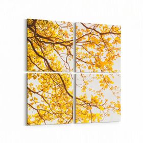Olla 10565K4 Ağaç Görseli Kare 4 Parça 65x65 cm Kanvas Tablo