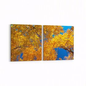 Olla 10566K2Y Ağaç Görseli Kare 2 Parça Yatay 65x30 cm Kanvas Tablo