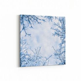 Olla 10570K Ağaç Görseli Kare 25x25 cm Kanvas Tablo