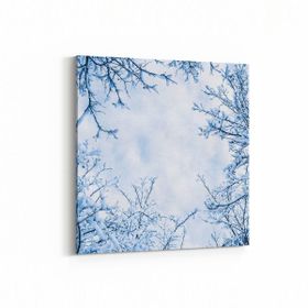 Olla 10570K Ağaç Görseli Kare 25x25 cm Kanvas Tablo
