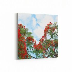 Olla 10596K Ağaç Görseli Kare 25x25 cm Kanvas Tablo