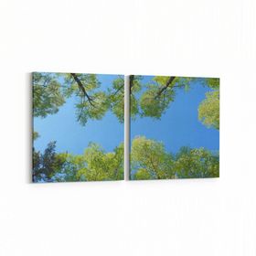 Olla 10602K2Y Ağaç Görseli Kare 2 Parça Yatay 65x30 cm Kanvas Tablo